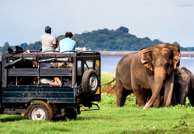 Yala National Park