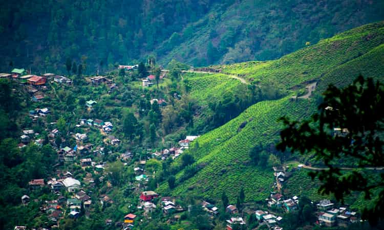 Darjeeling - Things to Do in Darjeeling