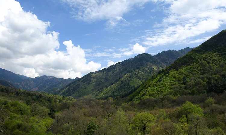 Dachigam National Park