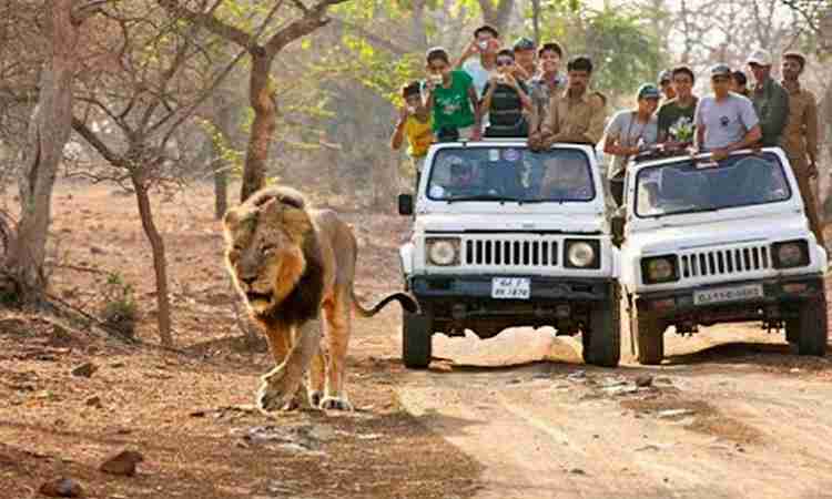 Devalia Safari Park