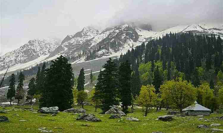 Thajiwas Glacier Trek