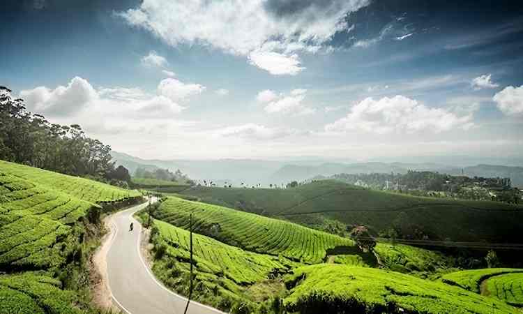 Wayanad