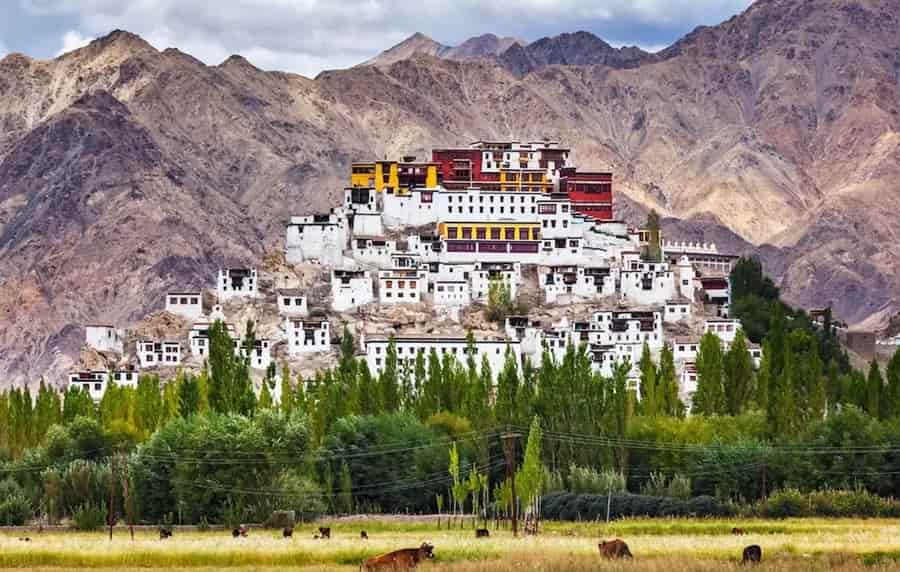 Ladakh Monastery